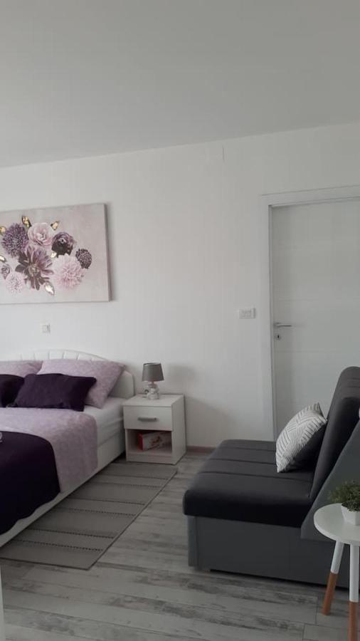 Apartman Lidija Dinjiška 外观 照片