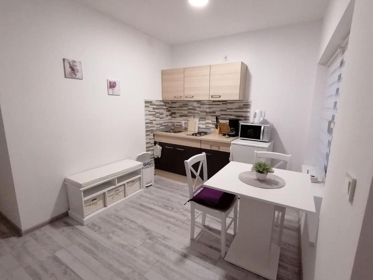 Apartman Lidija Dinjiška 外观 照片