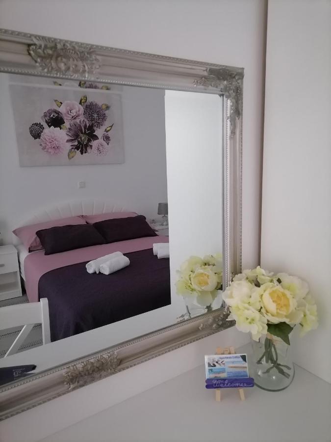 Apartman Lidija Dinjiška 外观 照片