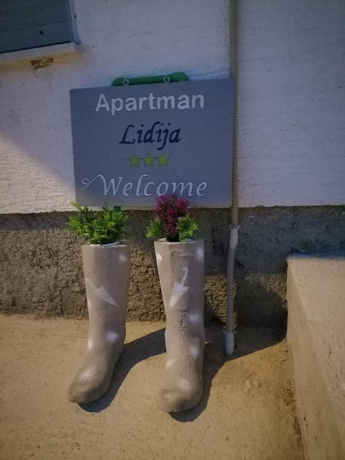 Apartman Lidija Dinjiška 外观 照片