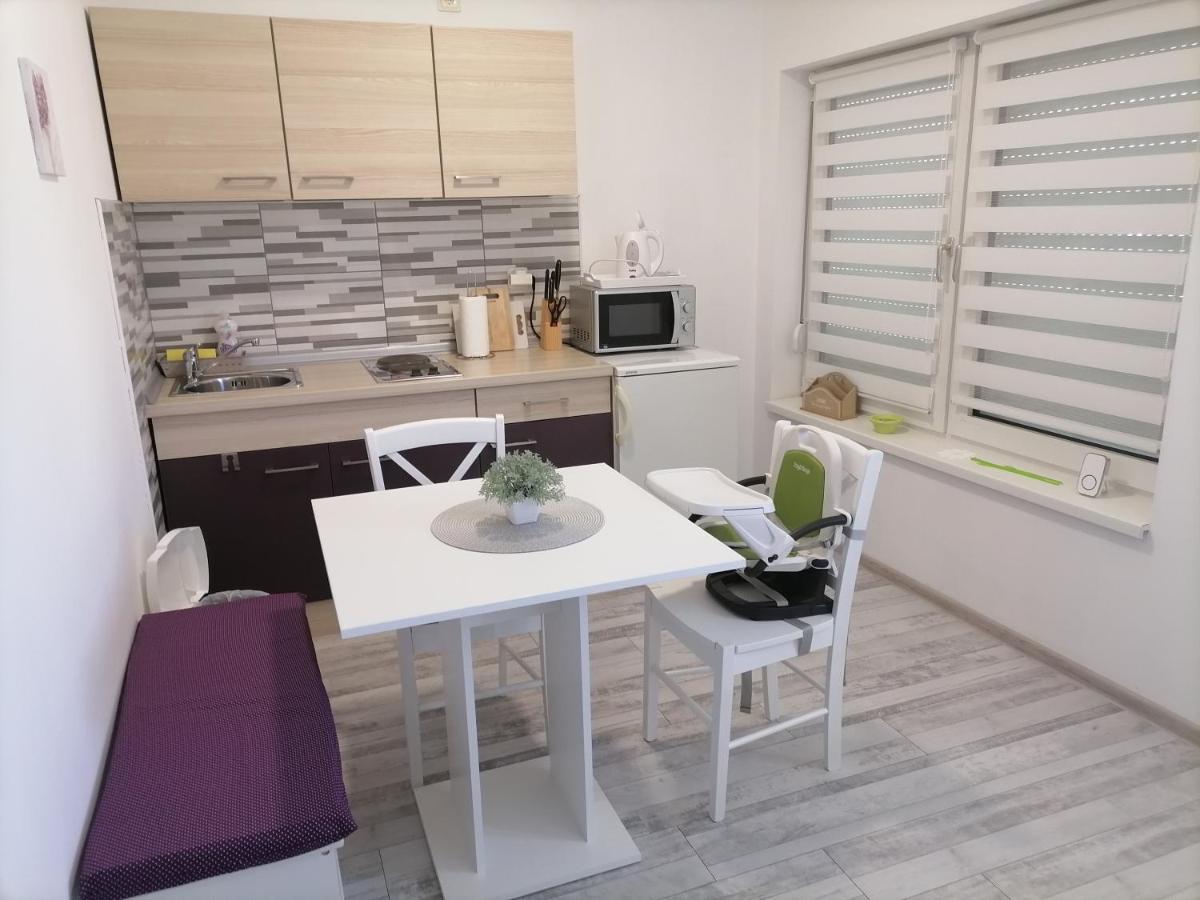 Apartman Lidija Dinjiška 外观 照片